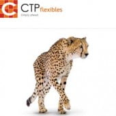 CTP flexibles